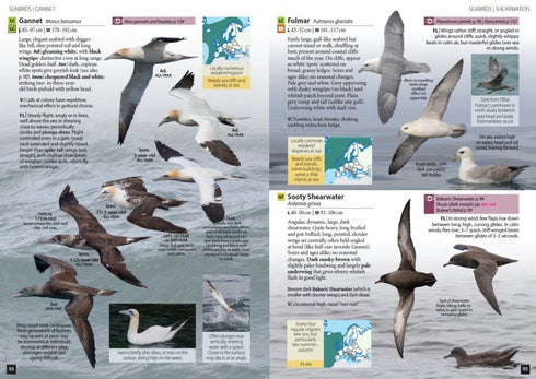Europe’s Birds An identification Guide - Hume, R.  2021